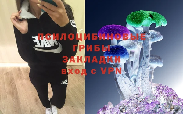 дживик Верея