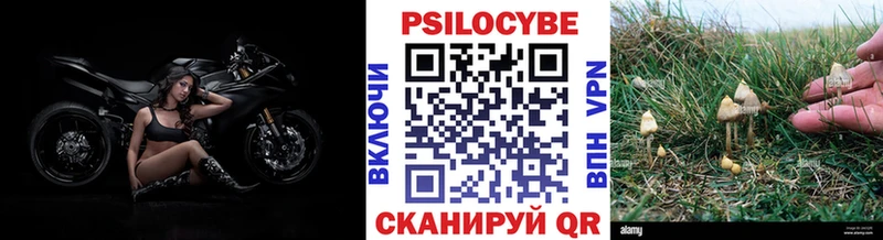 Галлюциногенные грибы ЛСД  Купить закладки  Славгород 